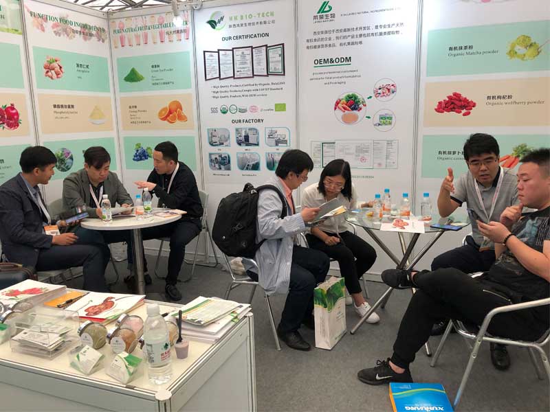 Our Exhibition