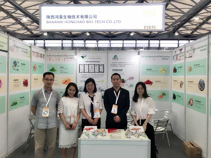 Our Exhibition