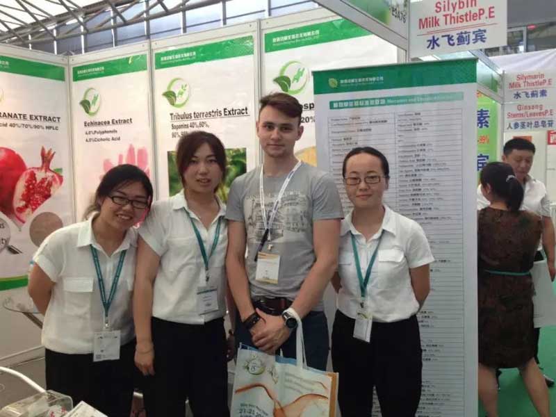 Our Exhibition