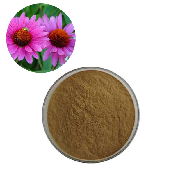 echinacea extract powder supplier