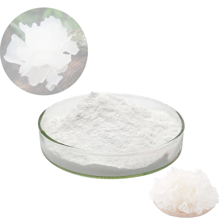  Tremella-Fuciformis Extract powder