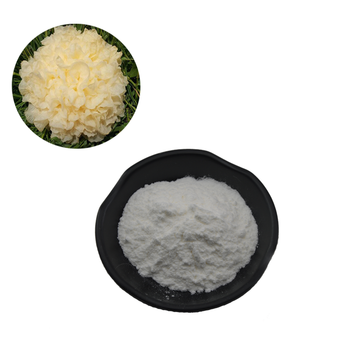  Tremella Fuciformis Extract Powder