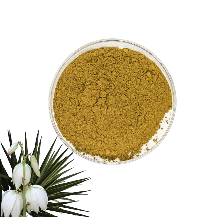  Yucca Extract Powder