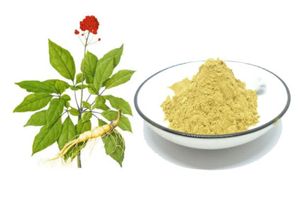 ginseng extract of The efficacy