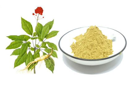  Ginseng Extract Powder