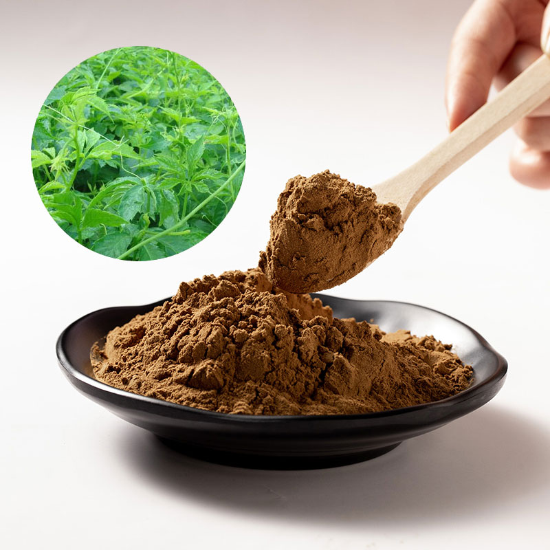  Gynostemma Extract Powder