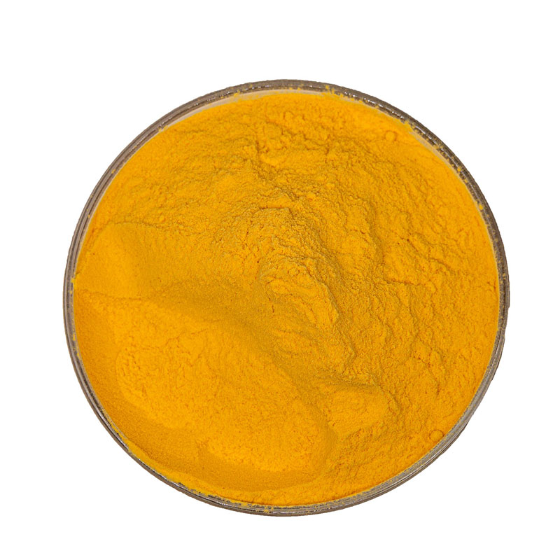  Rhizoma Coptidis Extract Berberine