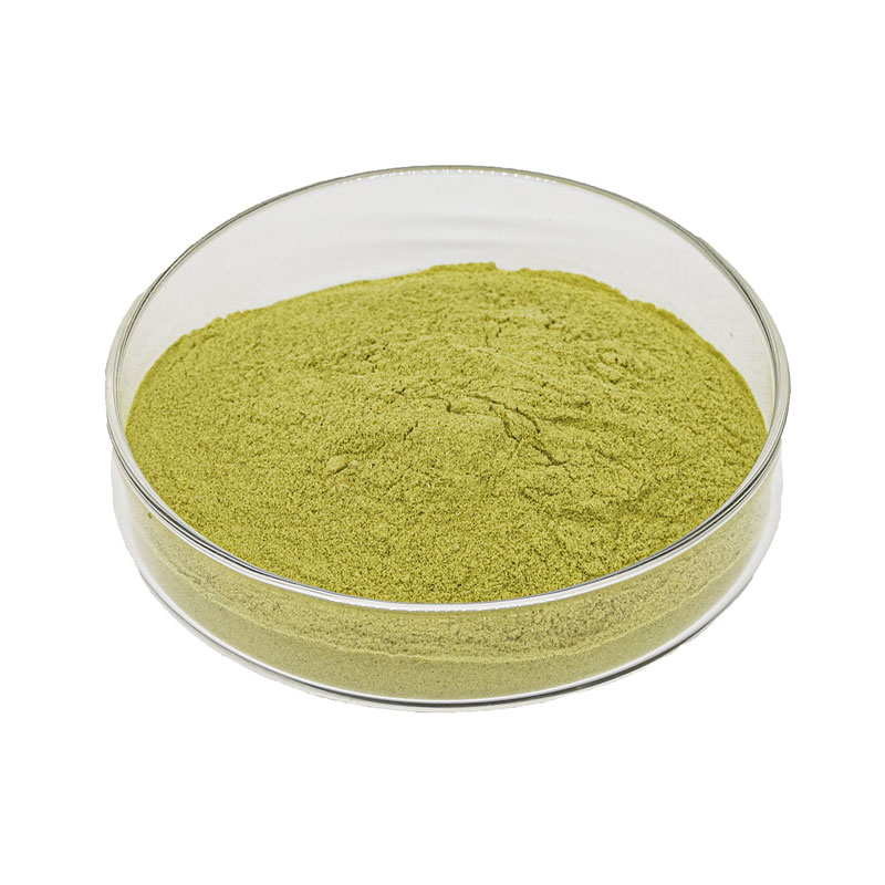  Ginkgo Biloba Extract Manufacturer