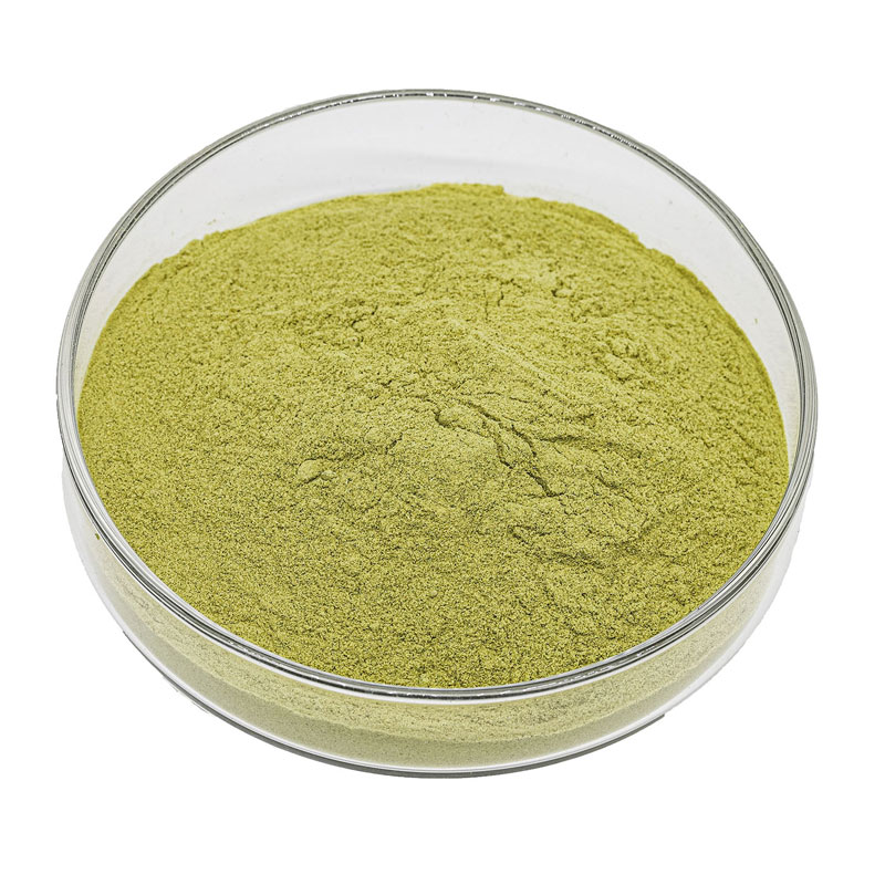  Ginkgo Biloba Extract Manufacturer