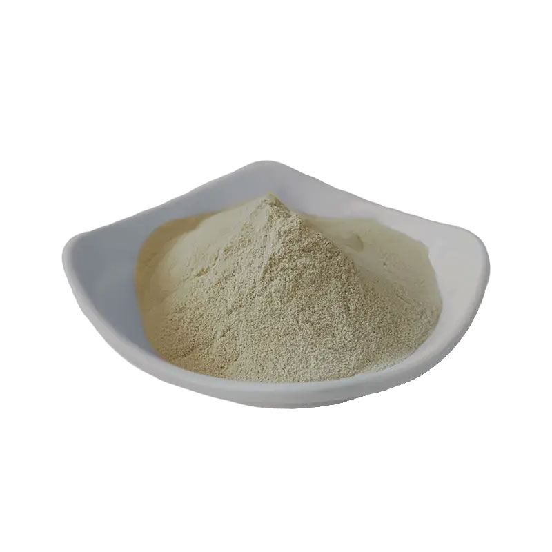 Huperzia serrata Leaf extract Huperzine A