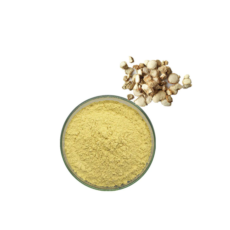 Kaempferol extract Manufacturer