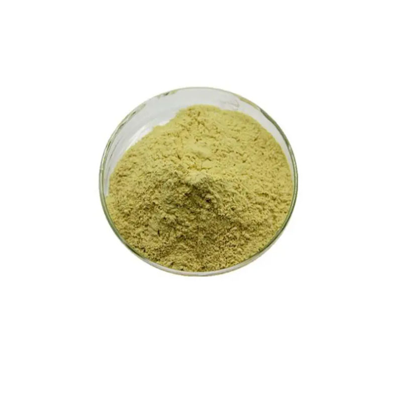 Sophora japonica Extract Rutin Powder