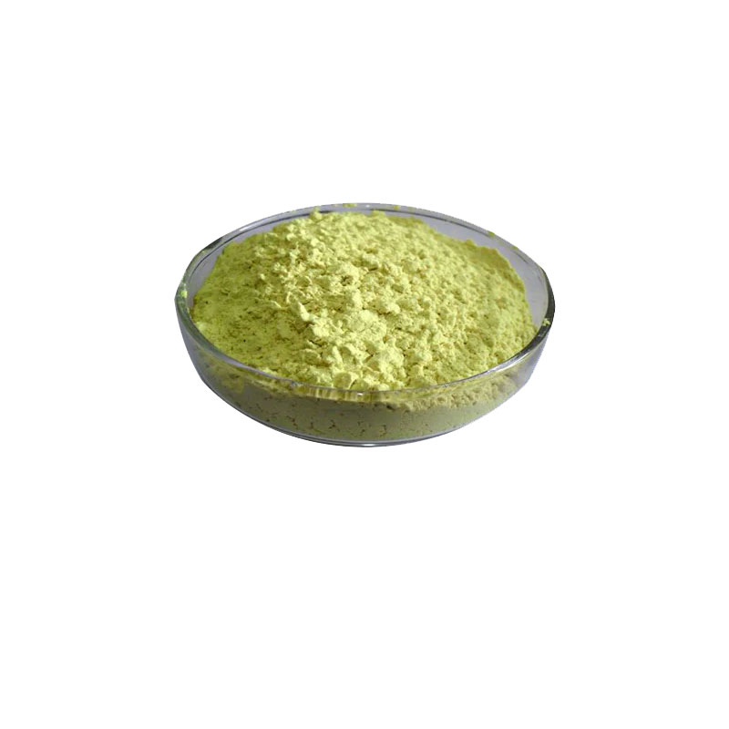  Sophora japonica Extract Rutin Powder