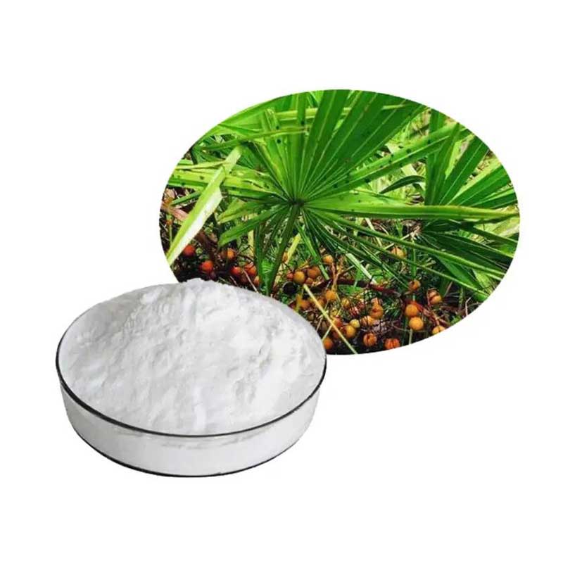  Saw Palmetto Extract