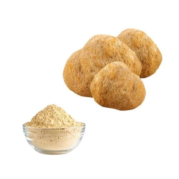 Organic lion’s mane mushroom extract Powder