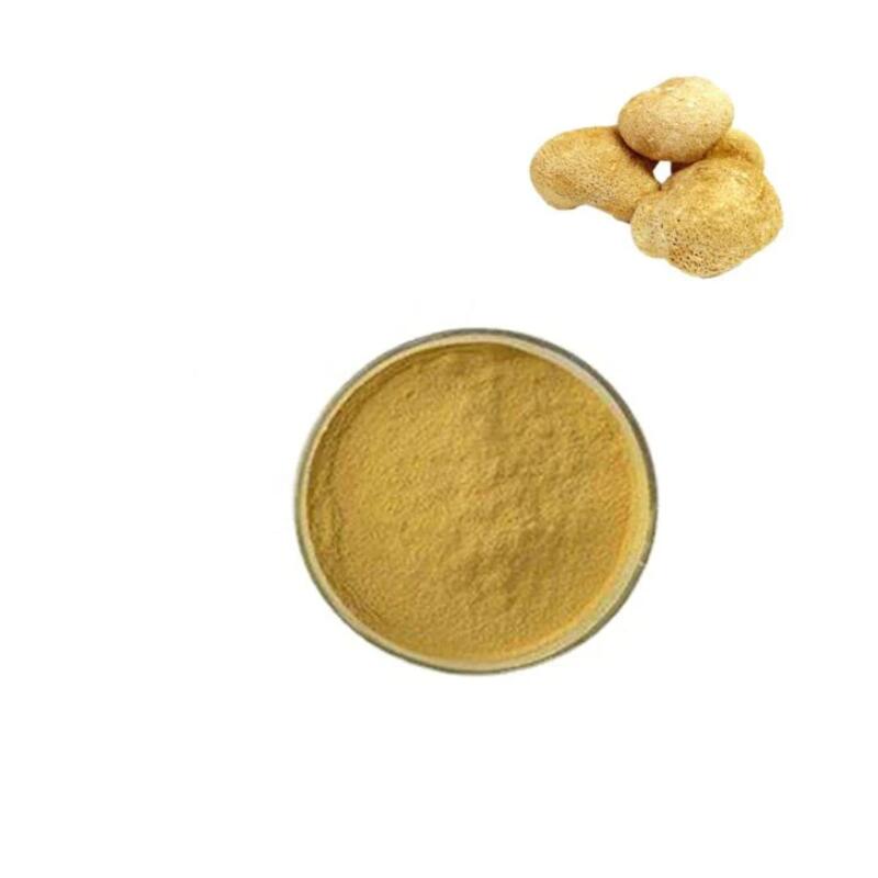 Organic lion’s mane mushroom extract Powder