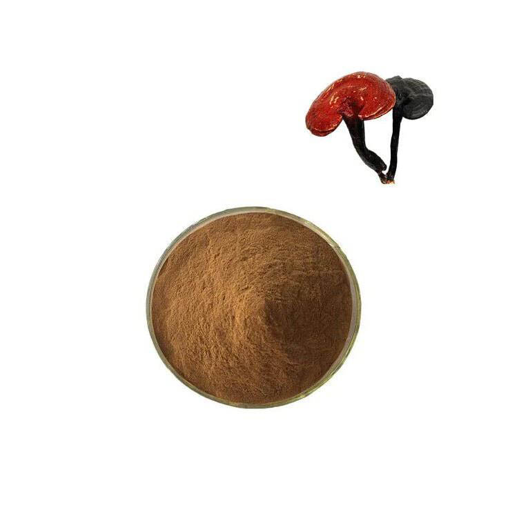  Reishi Mushroom Extract/Ganoderma Lucidum Extract Powder