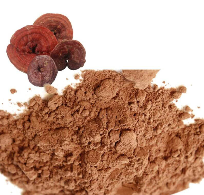  Reishi Mushroom Extract/Ganoderma Lucidum Extract Powder