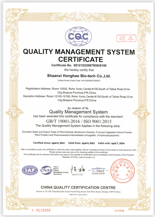 ISO9001