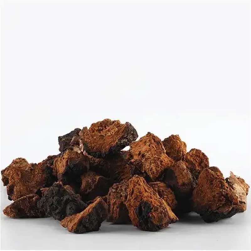 Chaga Mushroom Extract Powder