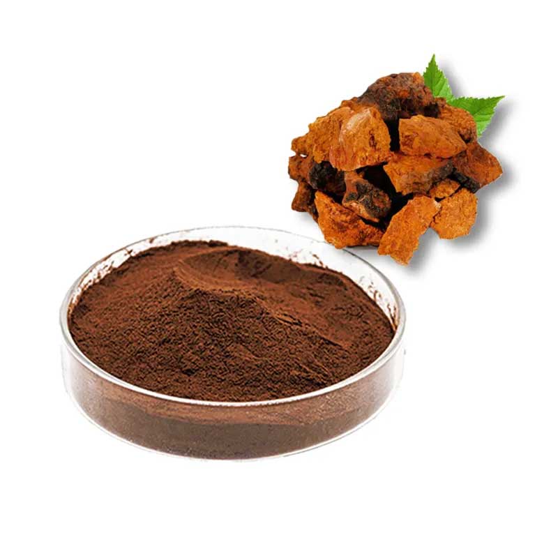  Chaga Mushroom Extract Powder