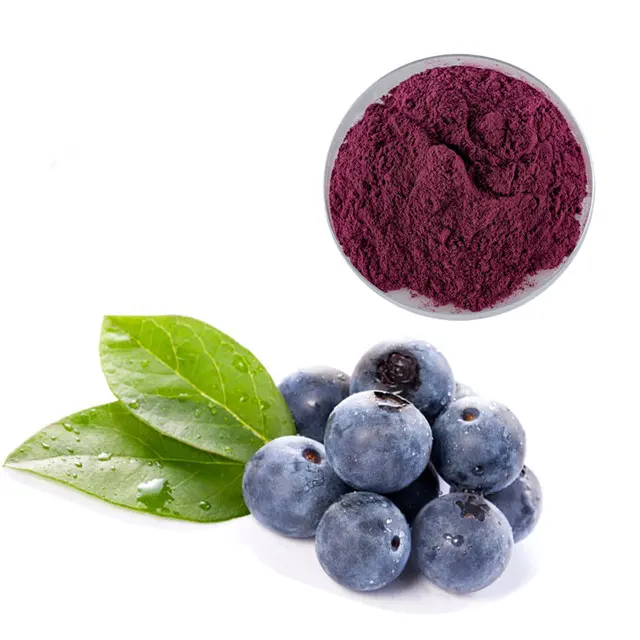  Organic Blueberry Powder