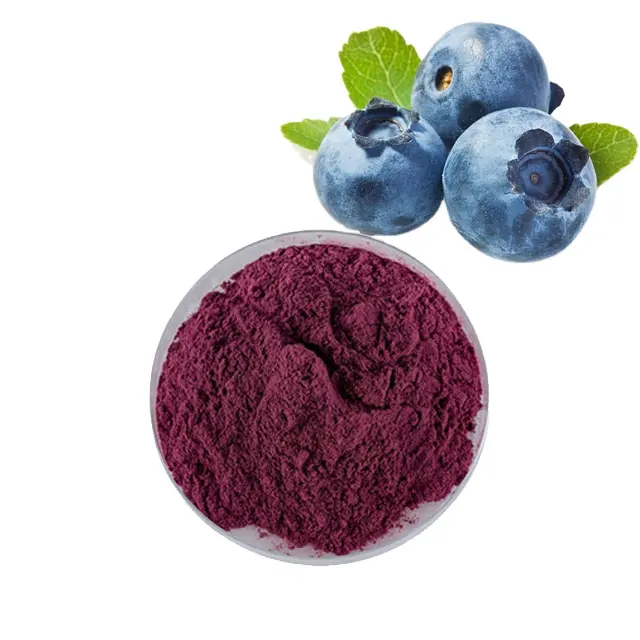  Organic Blueberry Powder