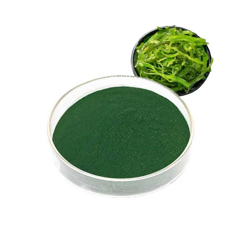 Organic Spirulina Powder/Tablet