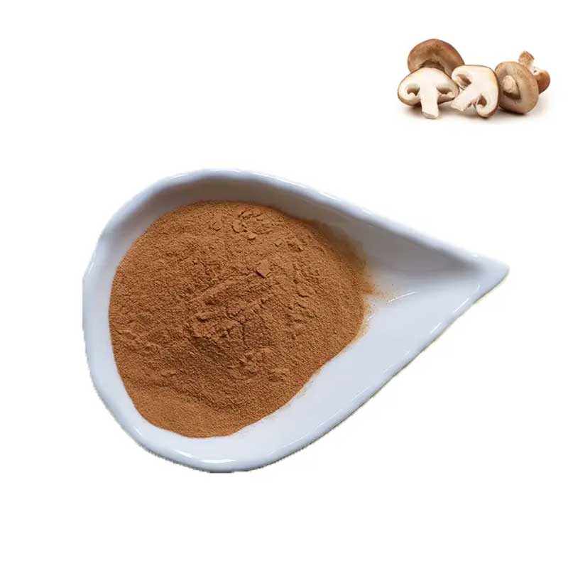  Shiitake Mushroom Extract Powder