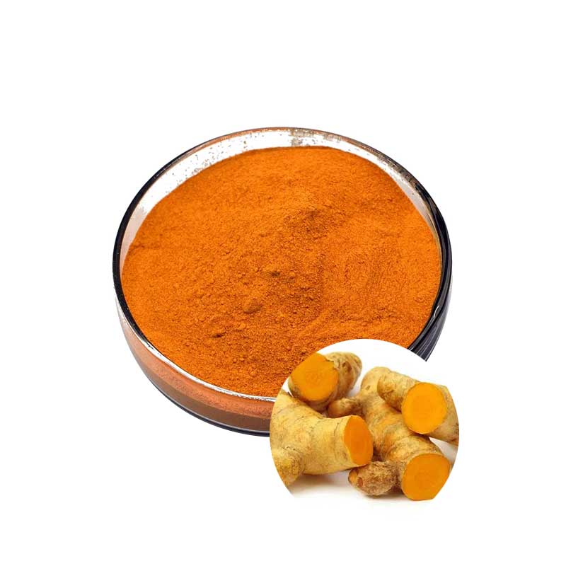  Turmeric Extract Curcumin