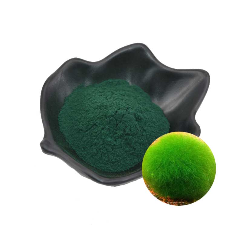 Organic Chlorella Powder/Tablet