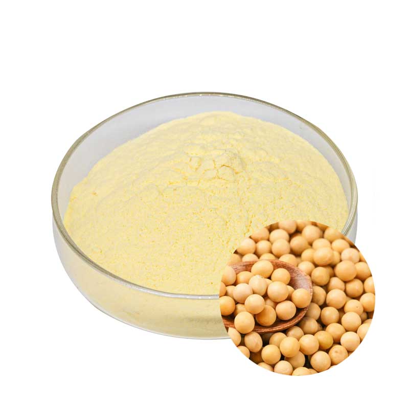  Soybean Extract Powder