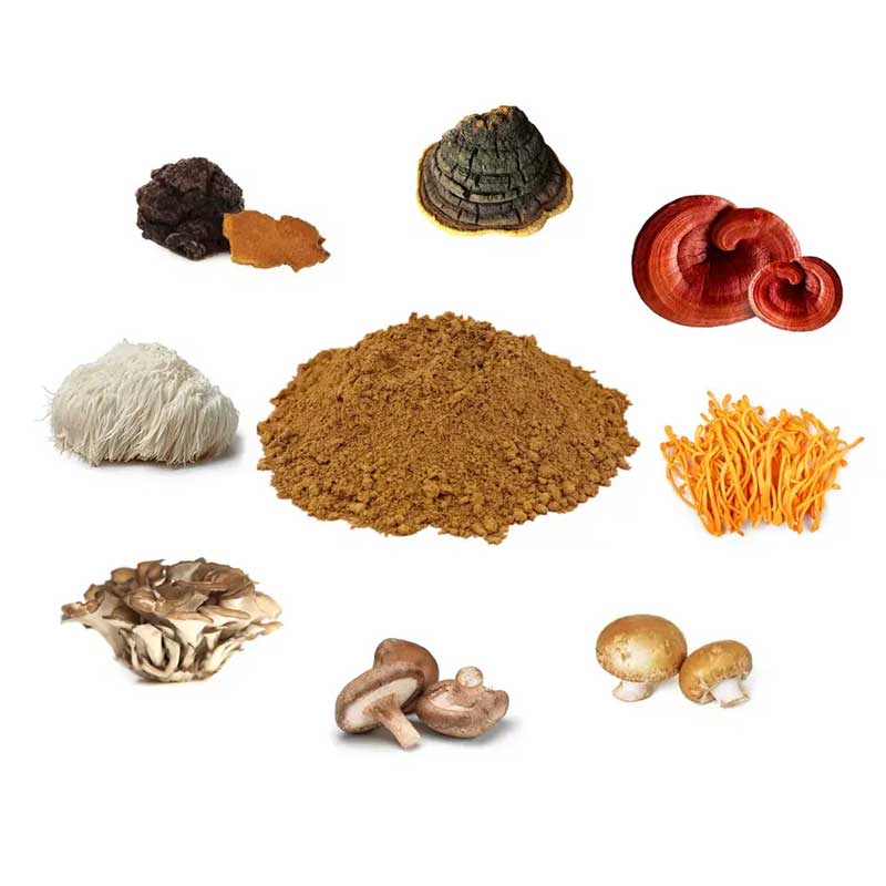 Organic mushroom extract blend powder