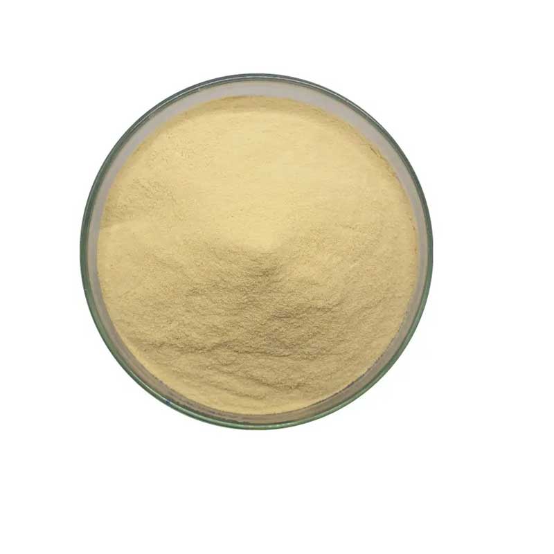  Wheat Germ Extract Spermidine