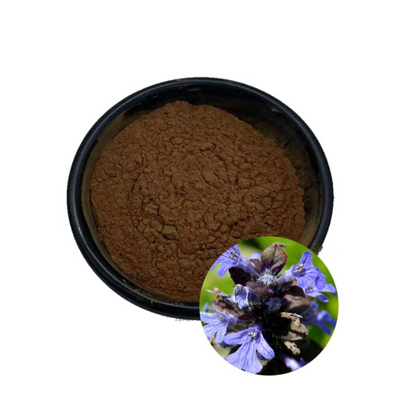  Ajuga Turkestanica Extract Turkesterone