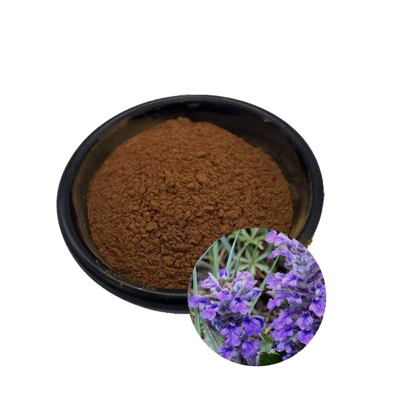 Ajuga Turkestanica Extract Turkesterone