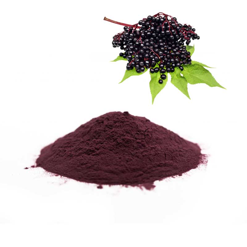 Elderberry Extract/Elderberry Powder