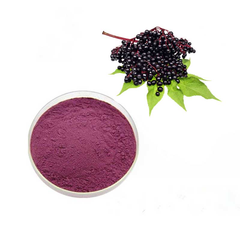  Elderberry Extract Powder