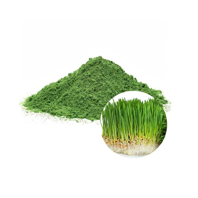 Organic Wheat Grass Powder