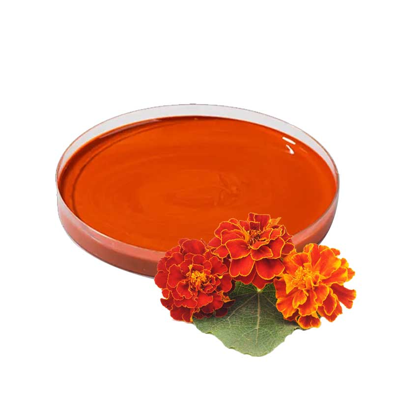 Marigold Flower Extract Zeaxanthin