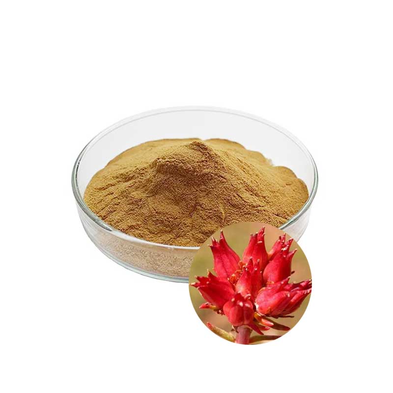 Rhodiola Rosea Extract