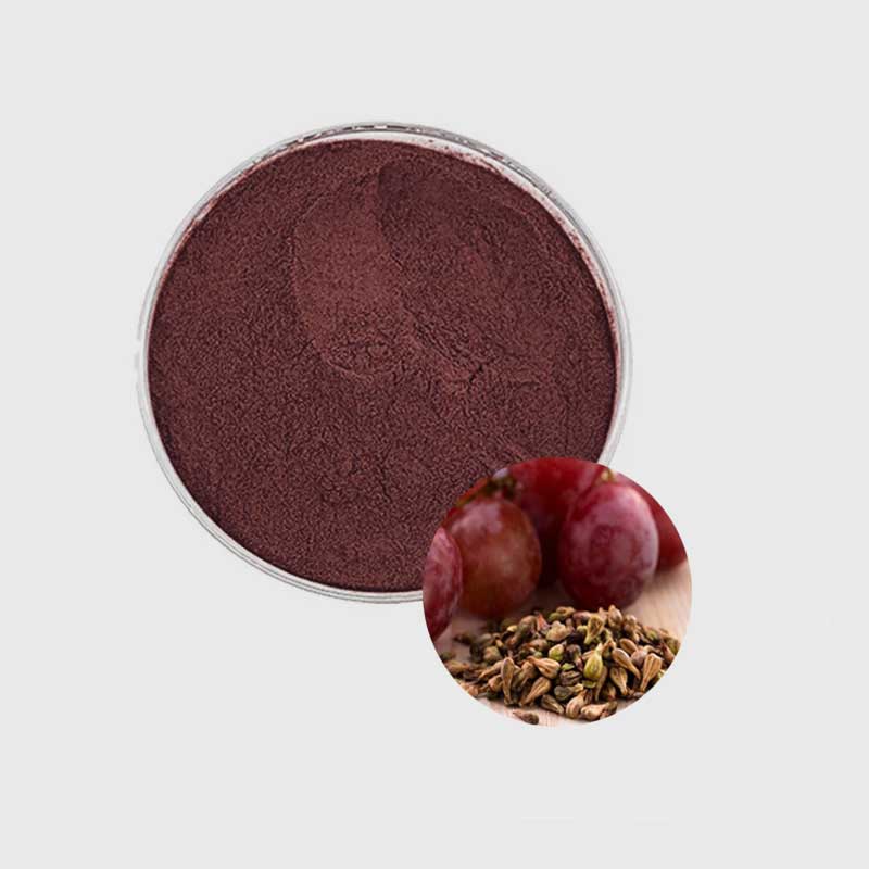  Grape Seed Extract