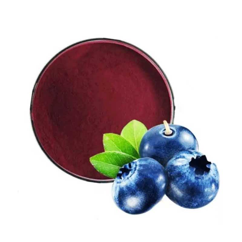 Bilberry Extract Anthocyanidins
