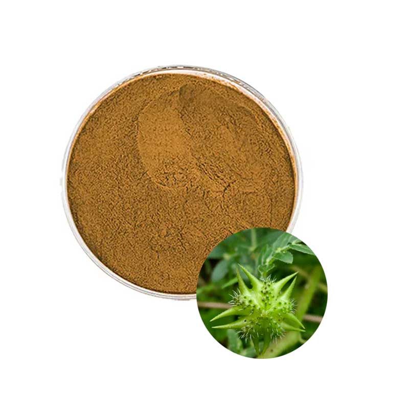 Tribulus Terrestris Extract