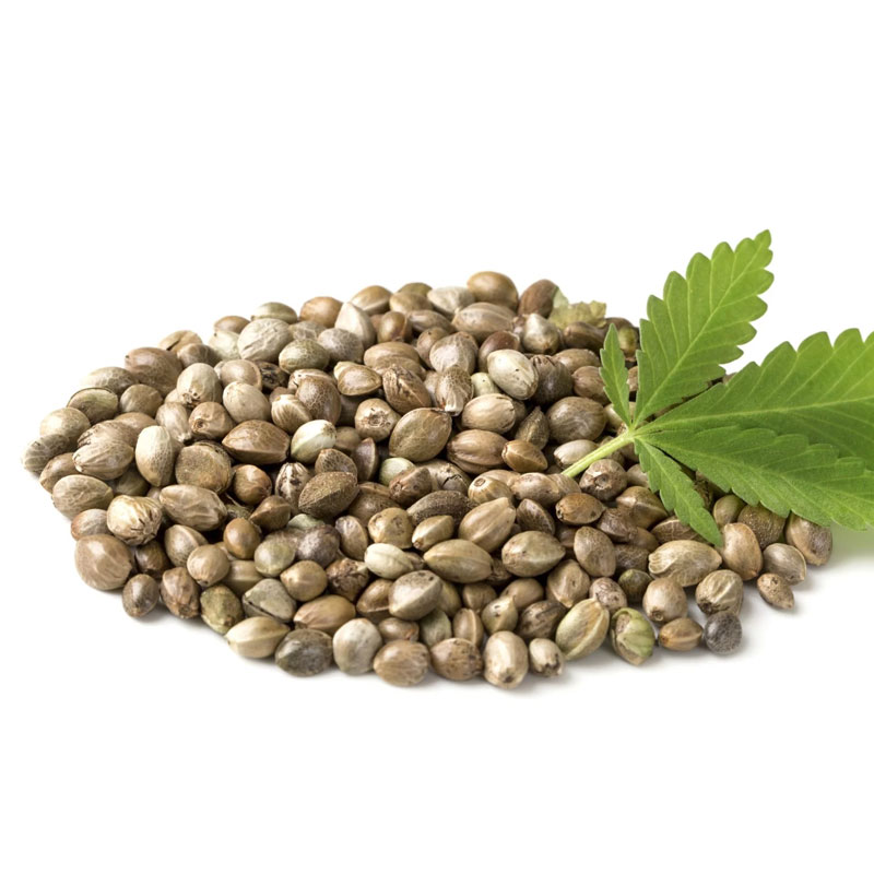  Organic Hemp Protein