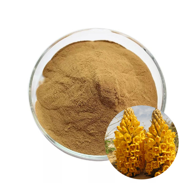 Cistanche Tubulosa Extract Powder