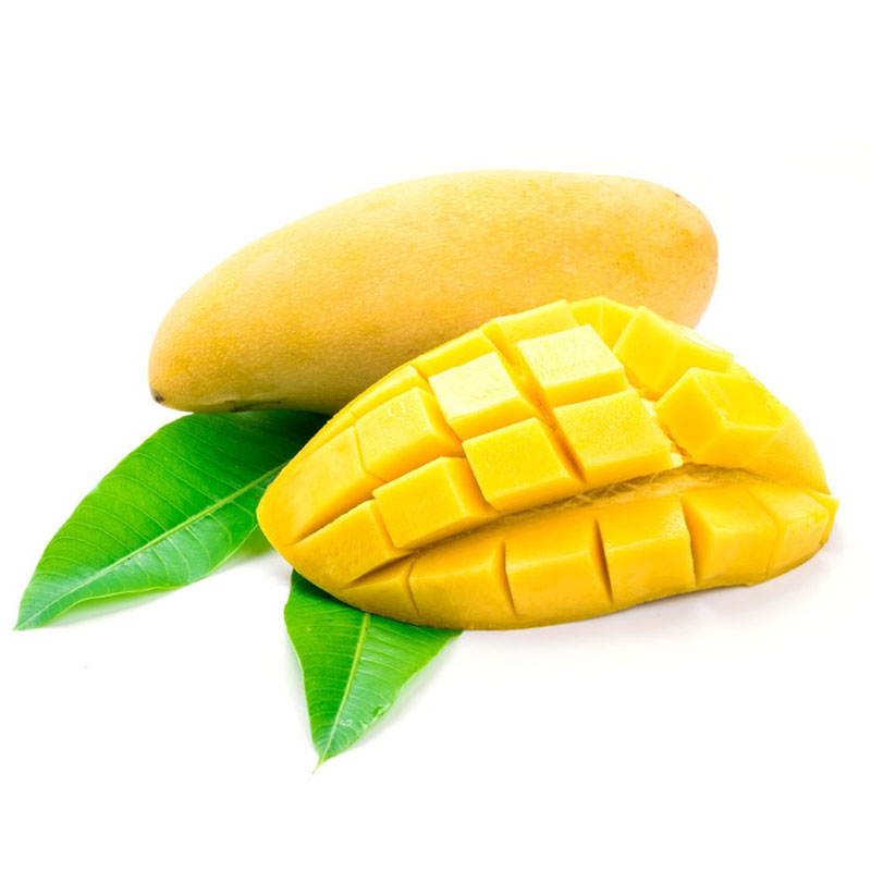  African Mango Extract/African Mango Seed Extract