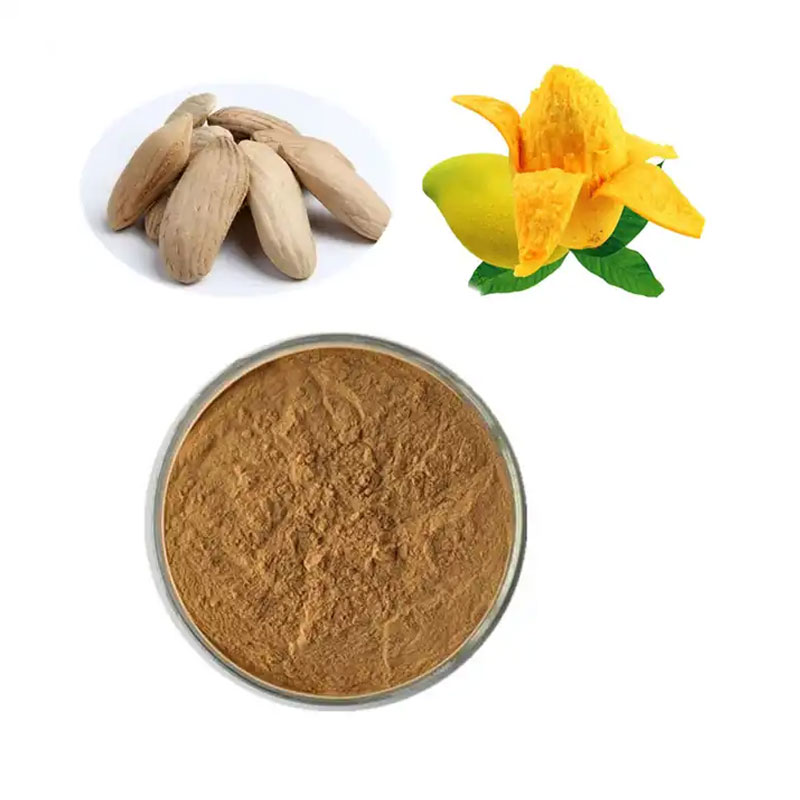 African Mango Extract/African Mango Seed Extract